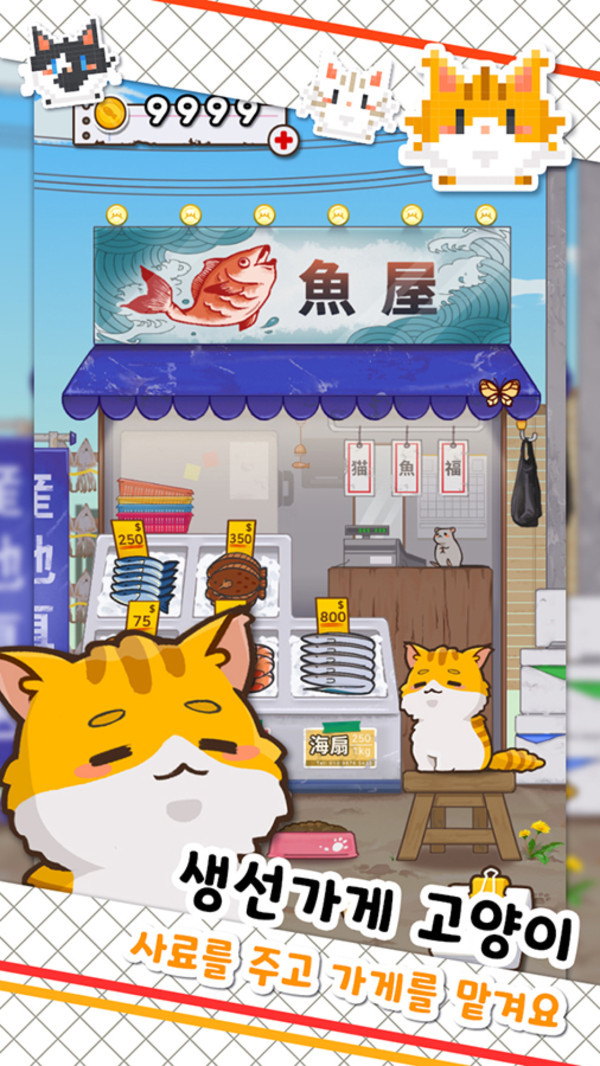 鱼店猫老板安卓版
