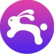 兔子IP免费版软件下载