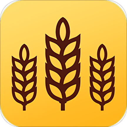 金麦浏览器app最新版下载安装