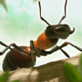 蚂蚁进化最新版安卓