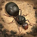 蚂蚁地下王国模拟器安卓版