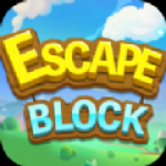 街区逃生 手游版（Escape Block）